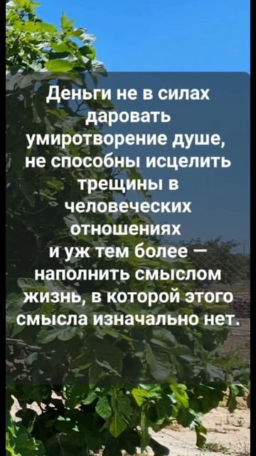 Деньги не в силах даровать умиротворение душе, не способны исцелить трещины в человеческих отношения