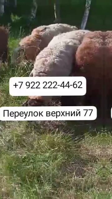 На продажу