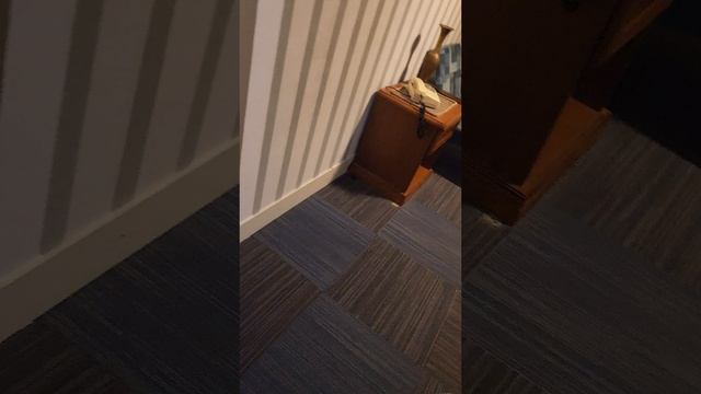1000306908.mp4