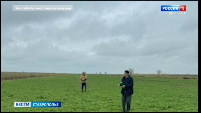 На Ставрополье фермера подозревают в махинациях с субсидиями