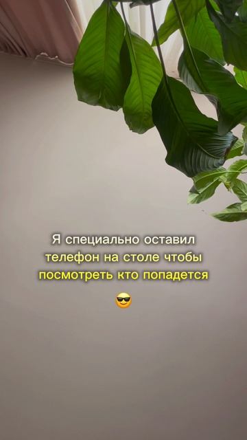 Наконец то поймал 😎 SaityLow #топыкатегорий