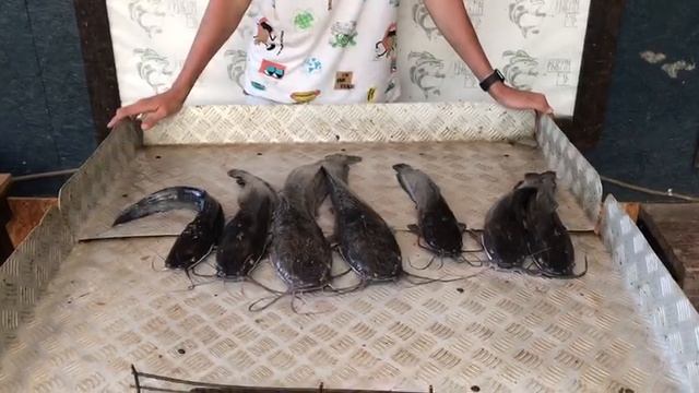 итоговый улов у Евгения