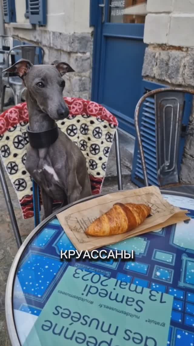 Круассаны на завтрак?