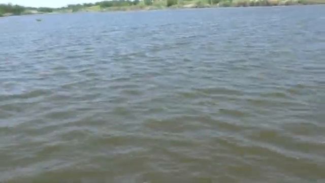 Рыбалка в селе на платном водоеме на поплавок и пружины. My fishing