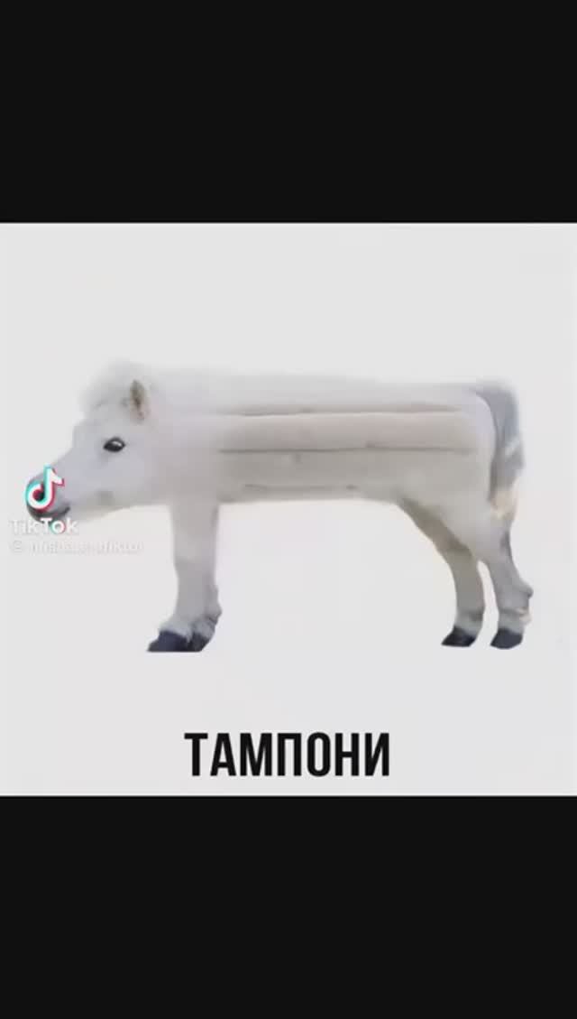 Мем   из  Tik Tok  часть 2