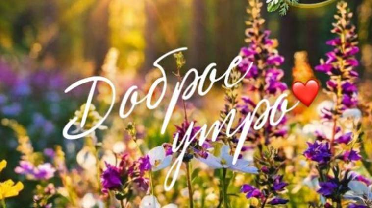 Суббота! Доброе Утро и Хорошего Дня Субботы! #утросубботы