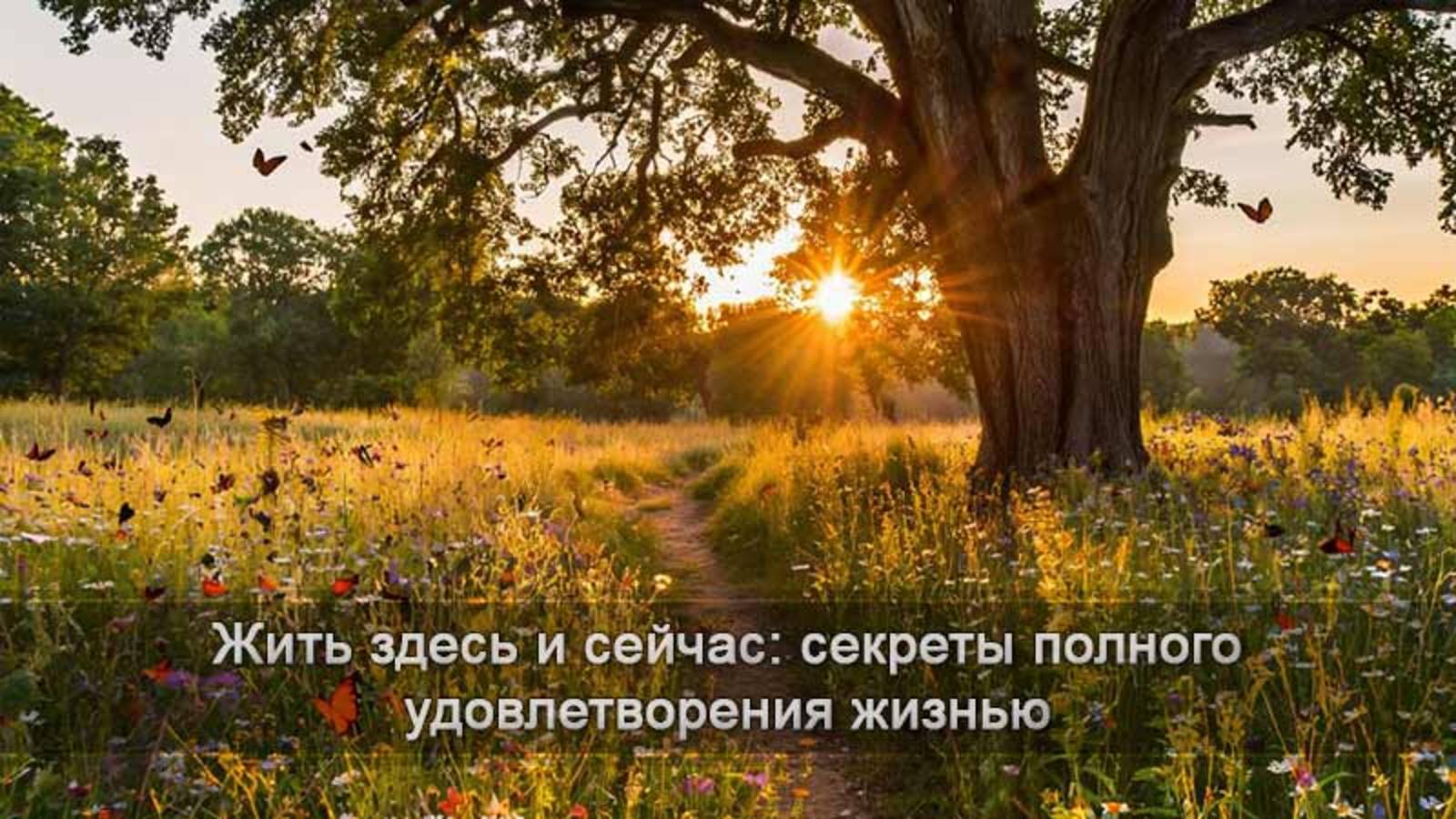 Великолепие момента: наслаждайтесь каждым мгновением