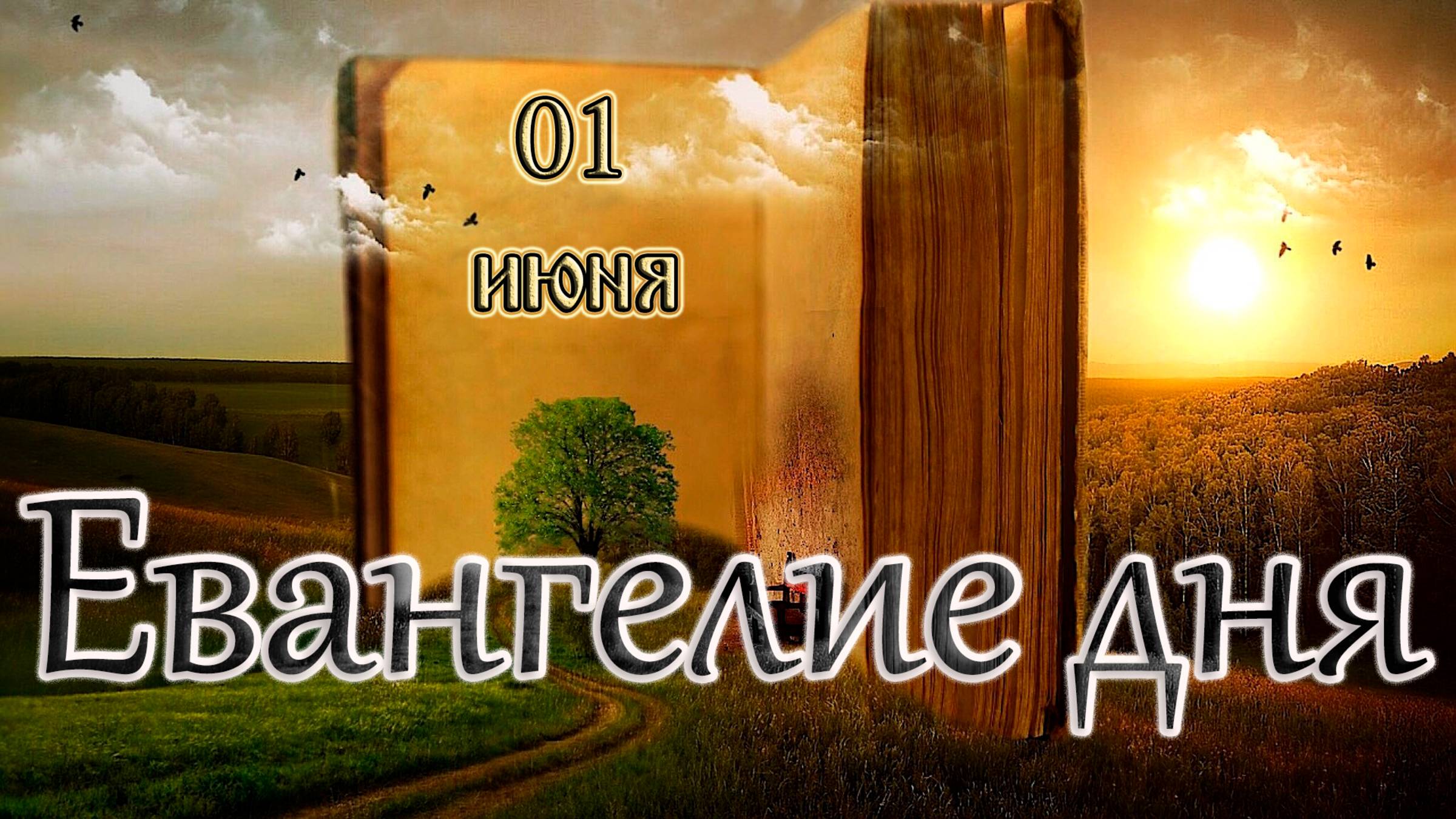 Апостол, Евангелие и Святые дня. Неделя 7-я по Пасхе, святых отцов I Вселенского Собора. (01.06.25)
