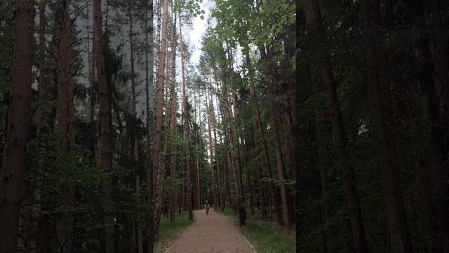 1000029130.mp4