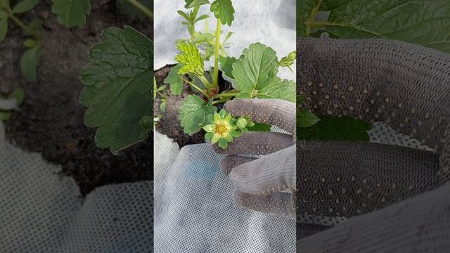 Сенсация🍓 😉