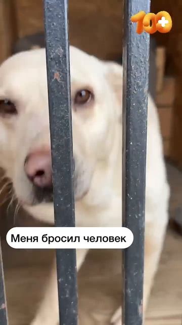 ️: А почему вы людям не помогаете?