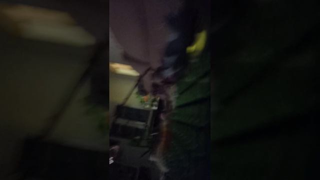 1000060055.mp4