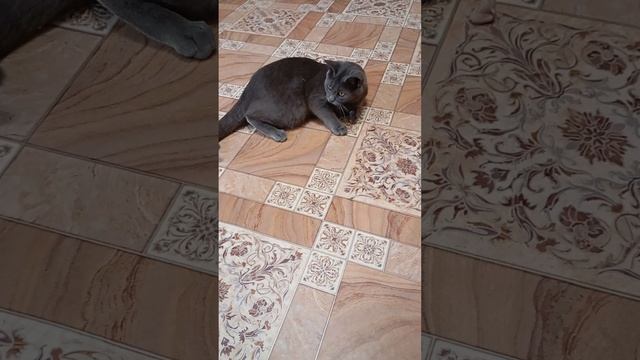 1000007342.mp4