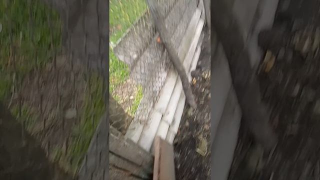 3 ролик за сегодня