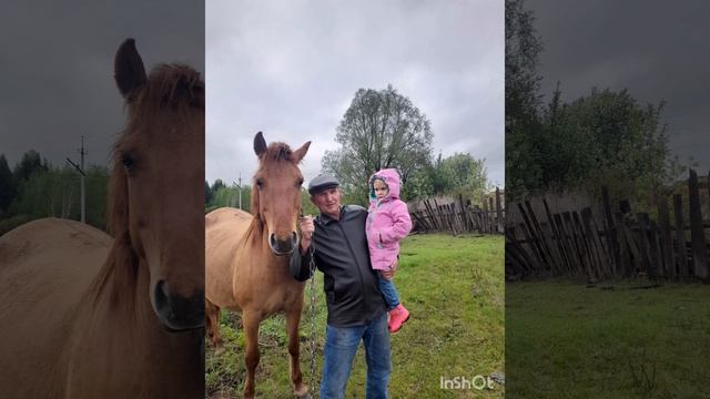 Подарок папе на день рождения