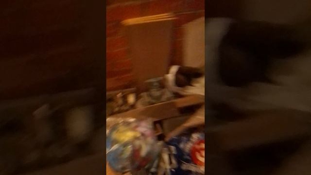 Внутри гаража