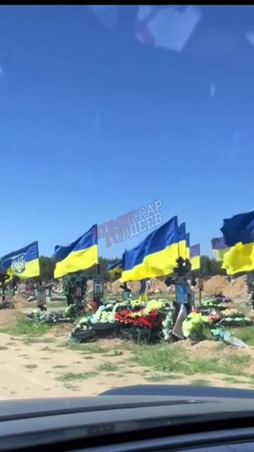 Ради чего погибли они и не скажут, а кто скажет, тому стыдно будет