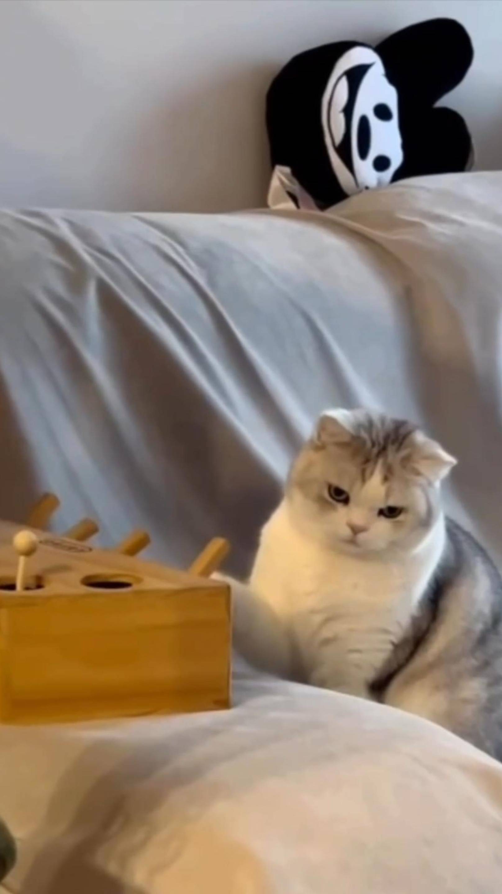 ВСЯ Гармония в ЕДЕ! 😂 КОТ Хочет Кушать! 😼 #cat #shorts #озвучка