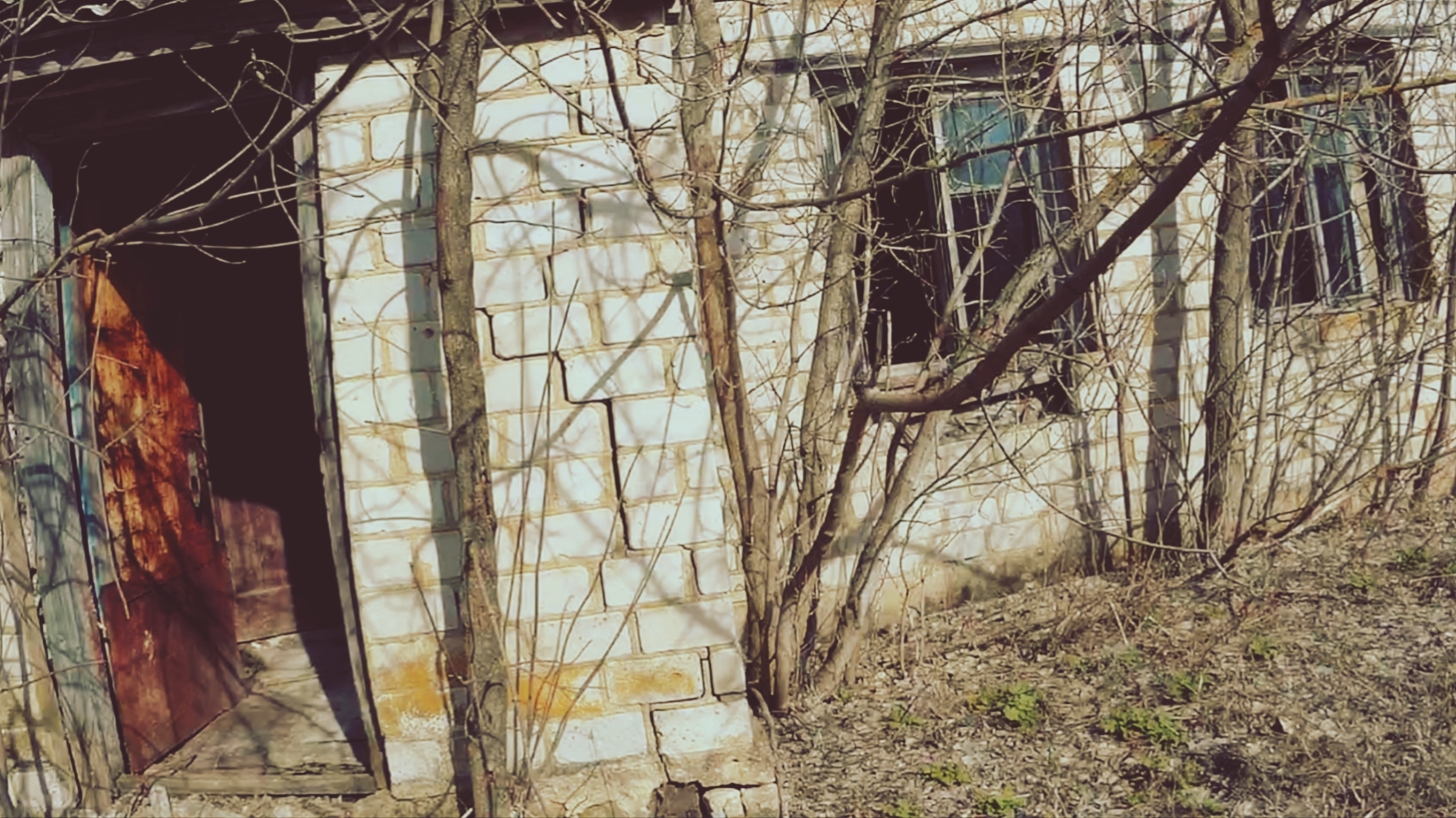 Заброшенная министоловая с погребом.