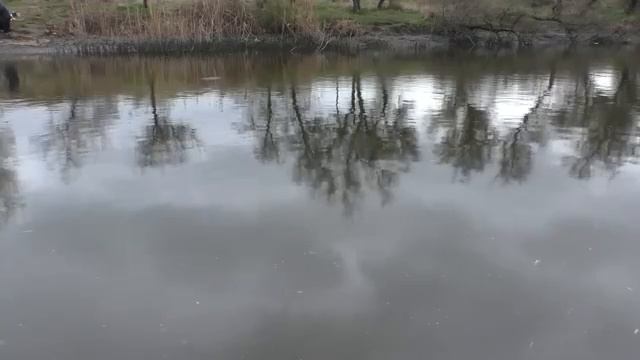 Рыбалка в апреле на поплавок и пружину