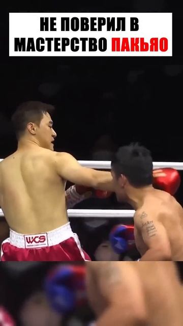 Лучшие нокауты #ufc #mma #youtube #sports #tiktok #shortsvideo #russia #boxing #usa #boxtraining