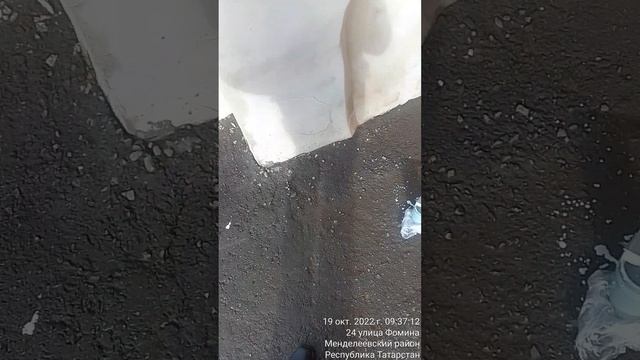 ГОЛОС ИЗ НАРОДА TimeVideo_20221019_093617