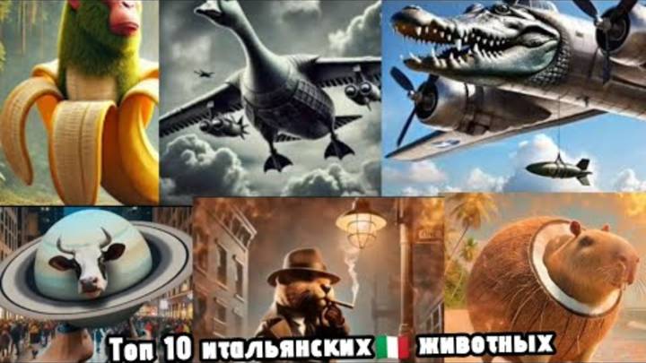 ТОП 10 ИТАЛЬЯНСКИХ ЖИВОТНЫХ!