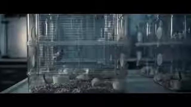 Yo'llanma askar !!! йолланма Аскар !!! jangari film !!!