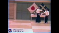 53 Aikido Jo No Tebiki Ai Hanmi Iriminage Nishio Sensei Uppsala 1995