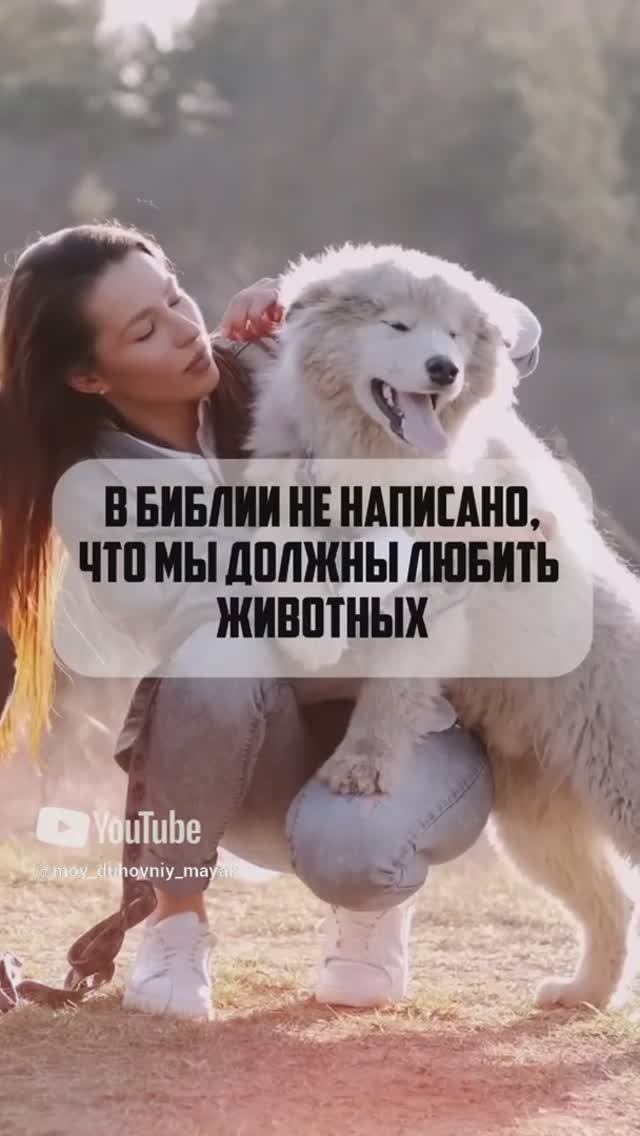 В Библии не написано, что мы должны любить животных.