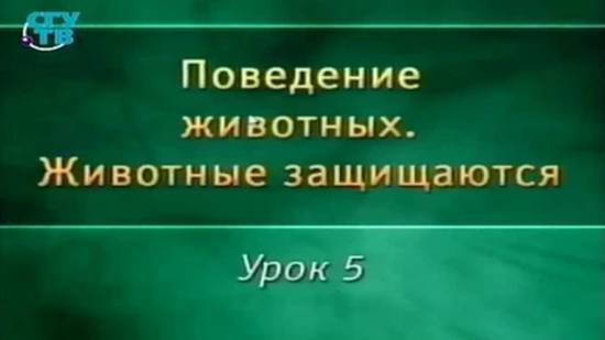 Животные защищаются # 5. Химическое оружие