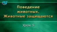 Животные защищаются # 5. Химическое оружие