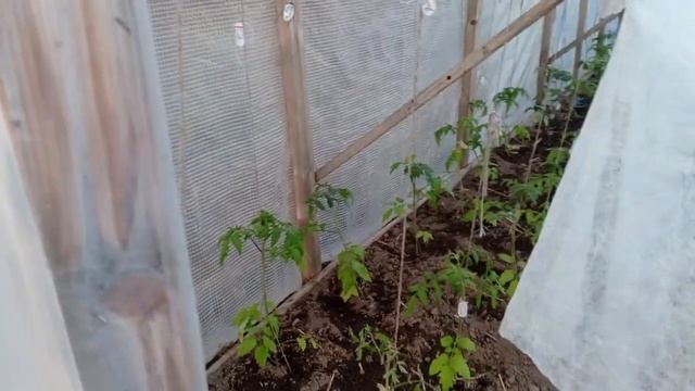 Культиватор для женщин А-ля "Мужу некогда!" 😁