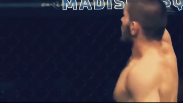 Хабиб Нурмагомедов   лучшие моменты в UFC 2016. Khabib Nurmagomedov