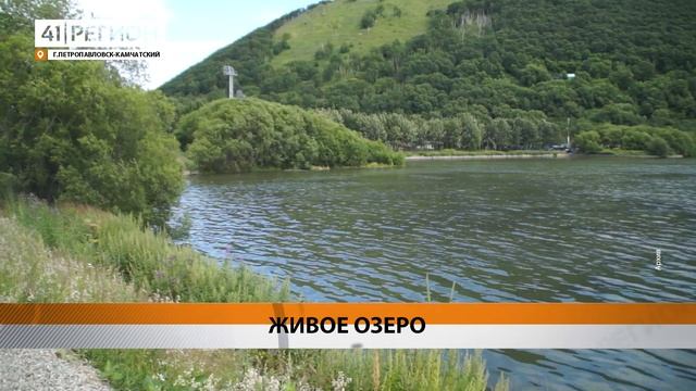 МОЛОДЬ КИЖУЧА ПОЙМАЛИ В КУЛТУЧНОМ ОЗЕРЕ В ЦЕНТРЕ ПЕТР?