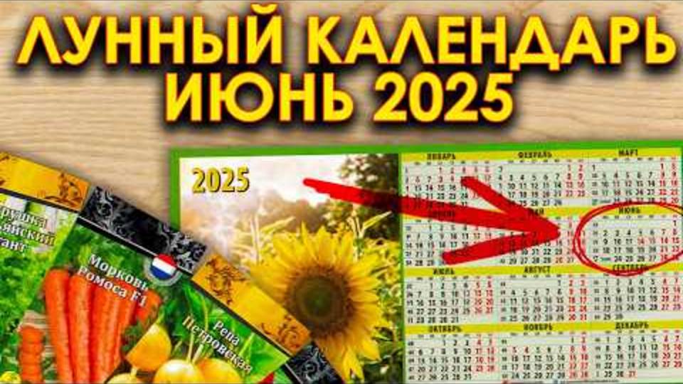 ЭТИ дни в июне 2025 — САМЫЕ важные для посадки! 🌱 Только сейчас урожай будет ОГРОМНЫМ!