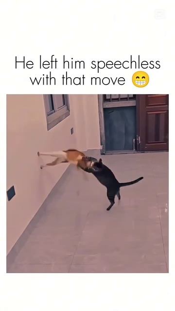 what move was that_!👀😳😂