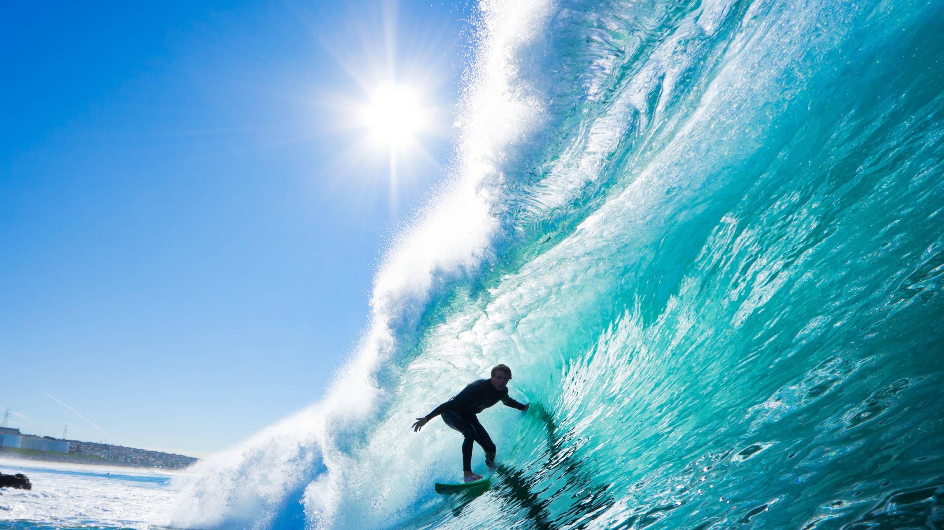 ЖИЗНЬ НА ЗЕМЛЕ в формате Dolby Vision - 4K ULTRA HD