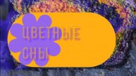 ЦВЕТНЫЕ СНЫ ПЕСНЯ
