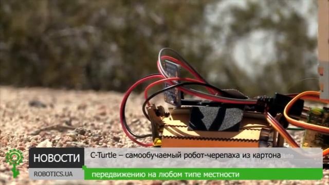 C-Turtle – самообучаемый робот-черепаха из картона (Robotics.u