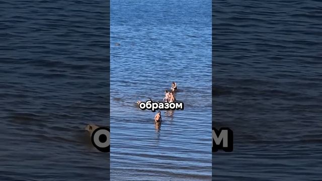Полезно ли купаться в ХОЛОДНОЙ ВОДЕ? #польза #здоровье