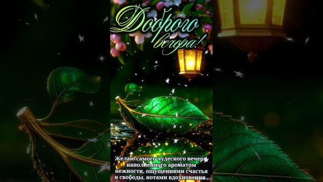 Добрый вечер 🌠Тепла,добра,счастья и всего самого прекрасного ♥️♥️😍