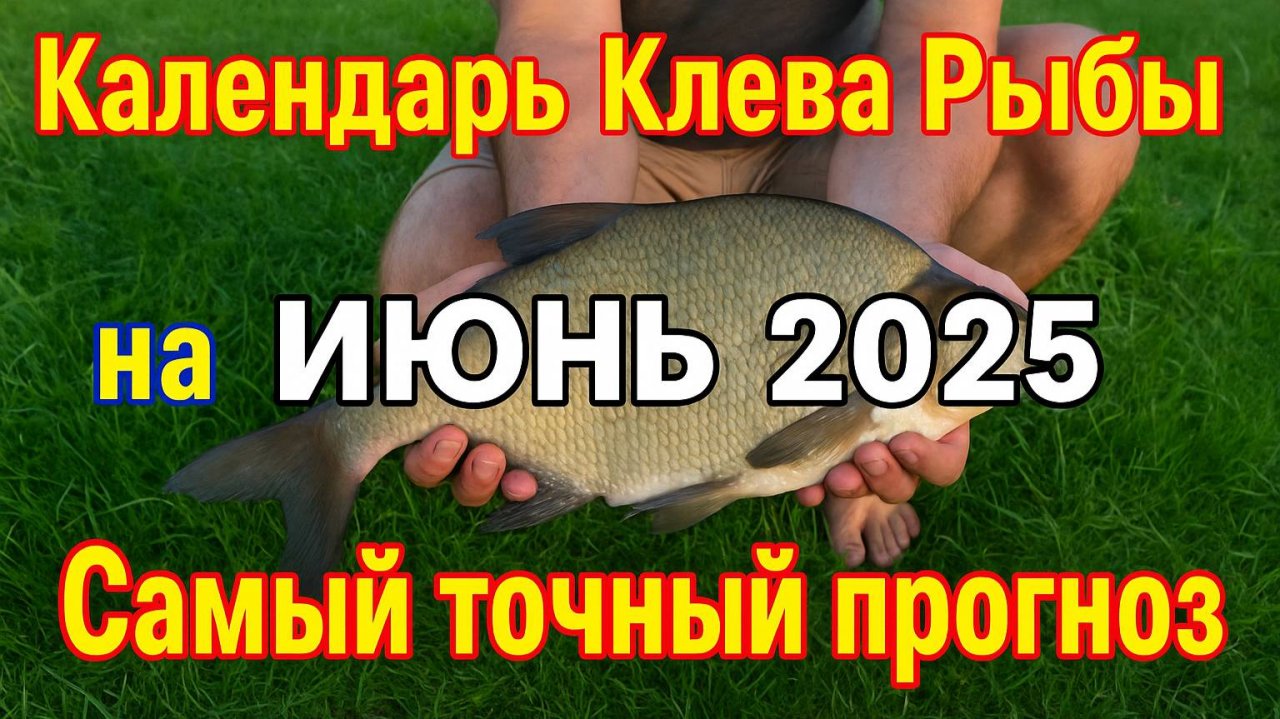 Календарь клева на ИЮНЬ 2025 Прогноз клева рыбы Лунный Календарь рыбака 2025!