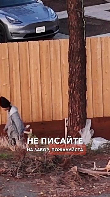 Американские бомжи ни в чем не нуждаются! Как живут бездомные в Калифорнии? #сша #бомж