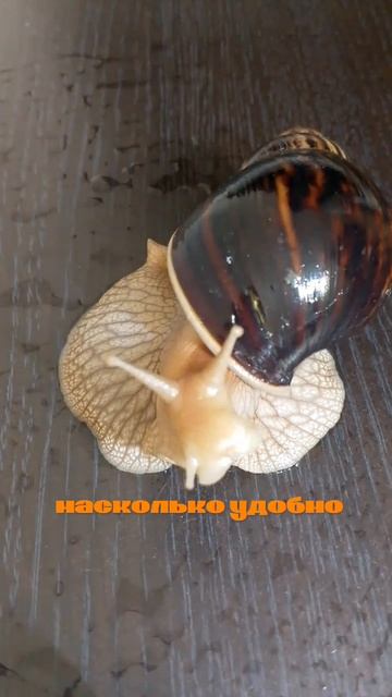 МОЯ МИССИЯ 🎯