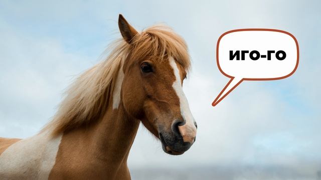 Лошадь. Видео про животных для детей 3+