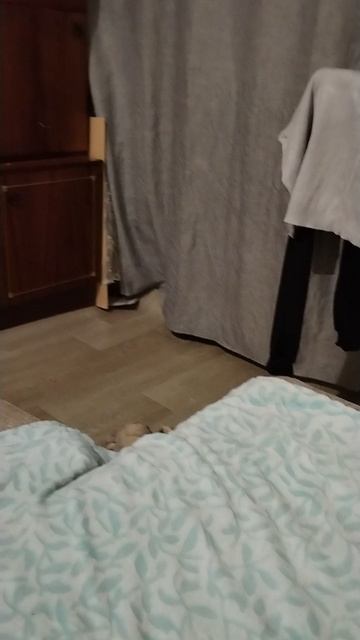1000029728.mp4