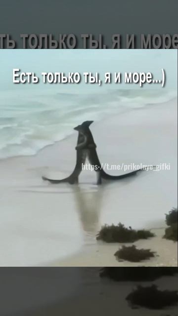 Есть только ты, я и море...)