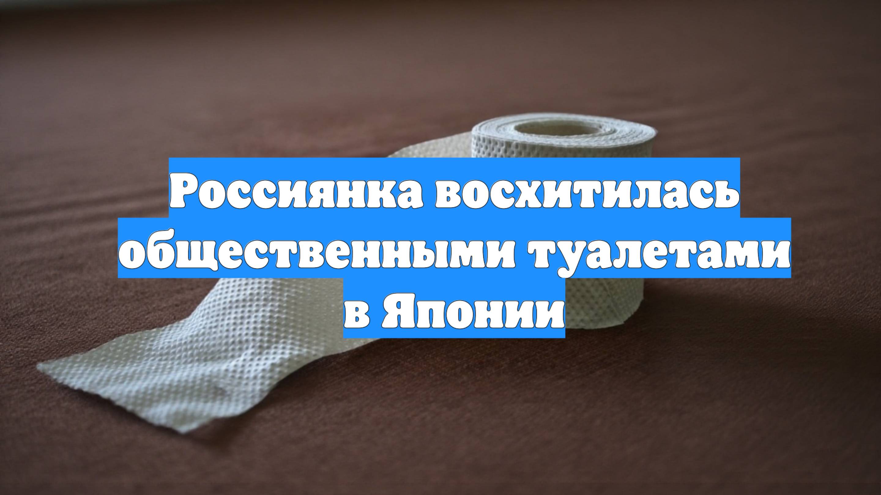 Россиянка восхитилась общественными туалетами в Японии