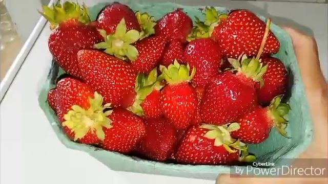 Огородные дела / Вкусняшки от хозяйки плантации.